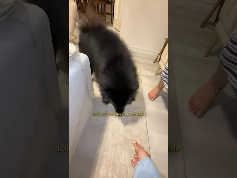 وصلت بيت صديقتي !!