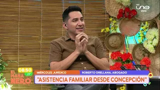 Miércoles jurídico- Asistencia familiar desde el vientre