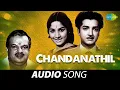 Download Lagu Chandanathil - Shaasthram Jayichu Manushyan Thottu | P. Jayachandran | V. Dakshinamoorthy