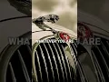 Download Lagu Jaguar Attitude whatsapp status || Ringtone YT Baba. #shorts #ringtoneytbaba