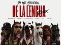 FANTA ROSARIO, Ñengo Flow, Slayter, Hades66, Jon Z, Luar la L - SI ME HICIERA EL DE LA LENGUA REMIX