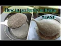 RIGHT WAY TO ACTIVATE DRY YEAST HOW TO ACTIVATE DRY YEAST PROPERLY YEAST FOR BREAD DOUGH
