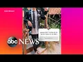 New Instagram feature may let content creators make more money l ABC News