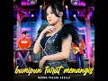 Bumipun Turut Menangis