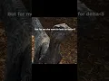 Download Lagu They never confirmed what happend to delta? #edit #capcut #jurassicworld #velociraptor #capcutedit