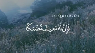قوله تعالى ومن اعرض عن ذكري فإن له معيشة ضنكا الشيخ عبدالولي الاركاني 