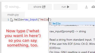 How to do raw input in Python