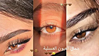 رمزيات عيون عسلية اجمل صور بنات عيون بنية و عسلية   على أغنية عليكي عيون      تصميمي   دندنها