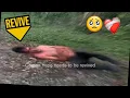 Save Compa del Nepo Reuploaded The Panther