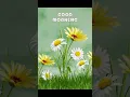 Good morning Image photo
