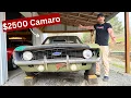 Backyard GOLD 1969 Camaro Project Cars For under 10 000