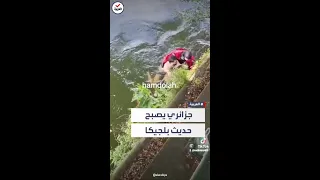 أنقذها من الموت شجاعة شاب جزائري تثير إعجاب الشارع البلجيكي  أنقذها من الموت شجاعة شاب جزائري تثير إعجاب الشارع البلجيكي