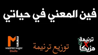 توزيع فين المعني في حياتي موسيقي 