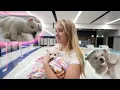 GETTING MY DREAM DOG first 24 hours with NEW PUPPY