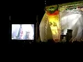 asian dub foundation riddim i like live @ vip INmusic festival