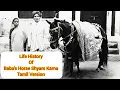 Download Lagu Life History of Baba's Horse Shyam Karna |Tamil Version| #aaosaibijlee #saibaba #shirdi 