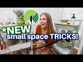 You re MISSING these DOLLAR TREE ORGANIZING tricks small space secrets