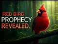 Prophetic Sign If You See a Red Bird This Is What It Means