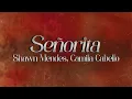 Download Lagu Shawn Mendes, Camila Cabello - Señorita 💃 (lyrics)