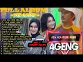 Download Lagu DUO AGENG [Indri x Sefti] FULL ALBUM TERBARU 2021- ACA ACA NEHI NEHI - JIKA | Ageng music