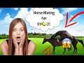 Horse Mating Donkey - Donkeys Breeding