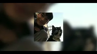 وينة هوة هيثم يوسف مسرعه Sped Up 