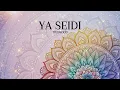 Ehab Tawfik - Ya Seidi (TwoMood Afro House Remix) | إيهاب توفيق - اللّٰه عليك ياسيدي