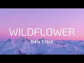 Billie Eilish - WILDFLOWER (Lyrics) | Dandelions, Die with a Smile, Set Fire to The Rain