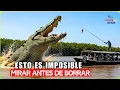 Lagu ¡Raro de ver! Animal MÁS GRANDE de la Historia 1 en un Millón Captado en Cámara 2025- Documental