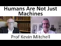 How Evolution Created your Free Will with Prof Kevin Mitchell