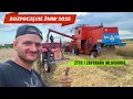 Download Lagu ROZPOCZĘCIE ŻNIW 2025 - BIZON W ŻYCIE - ZAPCHANA MŁOCARNIA