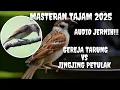 Lagu MASTERAN TAJAM 2025!!!GEREJA TARUNG SAMBUNG JINGJING PETULAK!!!AUDIO JERNIH JEDA 10 DETIK