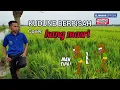Download Lagu Kudune Berpisah cover kang masri