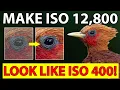 Make ISO 12 800 Look Like ISO 400 My 2026 Lightroom Workflow