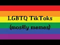 lgbtq tiktok compilation mostly memes