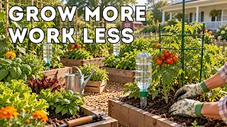 DIY Greenhouse & Vertical Gardens: 35 Clever Hacks You Need!