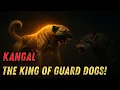 Download Lagu Kangal: De koning der waakhonden – Ongeëvenaarde kracht en moed