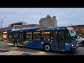 MTA NYCT Bus Hampton Ambassador QM44 Q17 LIMITED Q30 to QCC Action More HHE 188 St