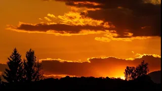 إن الله لا يخفي عليه شئ في الارض ولا في السماء القارئ عبدالرحمن مسعد 