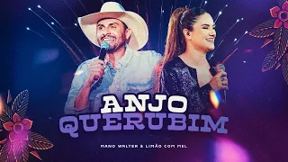 Mano Walter, Limão com Mel - Anjo Querubim (Waquejada do Mano)