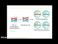 BIO 112 Chapter 9 Part 3 patterns of inheritance