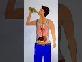 Download Lagu Boy's stop drinking 🚫 and save your life #rifanaartandcraft #youtubeshorts #shortvideo #rifanaart