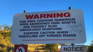 Now We’ve Got Cats | Ep 26 Life in a Nutshell