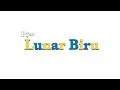 Download Lagu Pijar - Lunar Biru (Lyric Video)