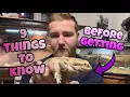 10 things to know before getting a Bearded Dragon