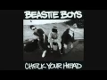 So What'cha Want   Beastie Boys