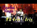 Download Lagu Pasha Ungu (Ta Iris Iris - Versi Manado) PENONTON BAPER // Konser HUT Sulawesi Utara yang ke 55