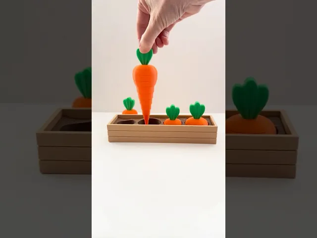 Carrot Garden (2 sizes) video thumbnail