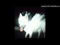 Call It What You Want (Clean Edit) - Fat Dog