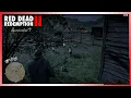 Red Dead Redemption 2 Survivalist 7